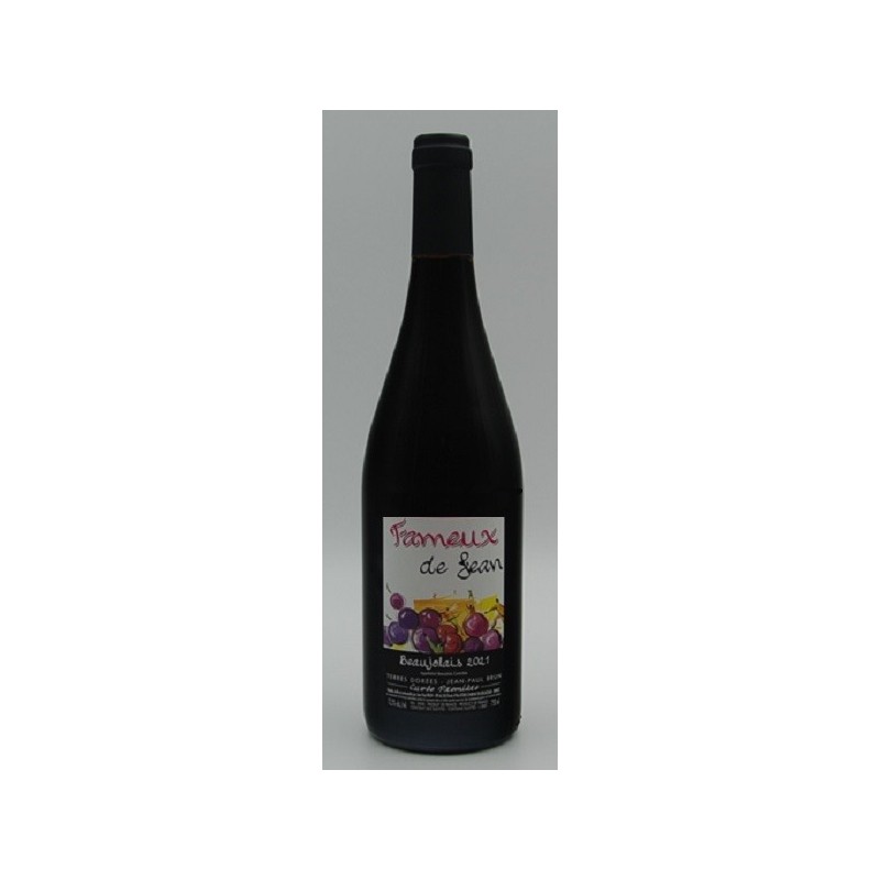 Domaine Jean-Paul Brun Beaujolais Première | French Wine